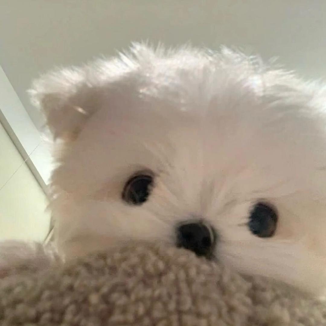 小醒