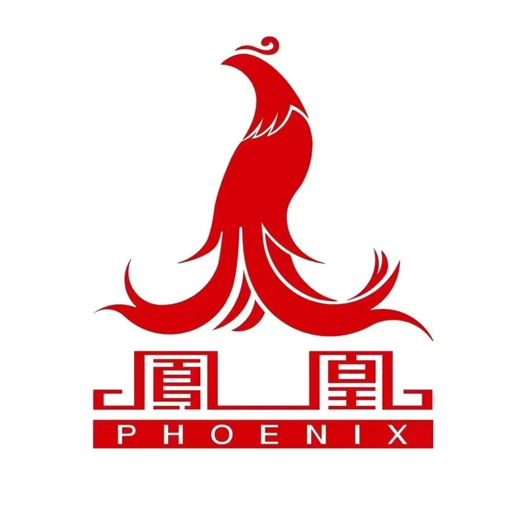 凤凰洋车子专卖店