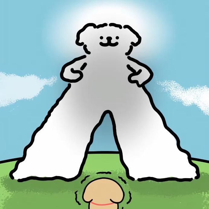 Biu Biu Biu~
