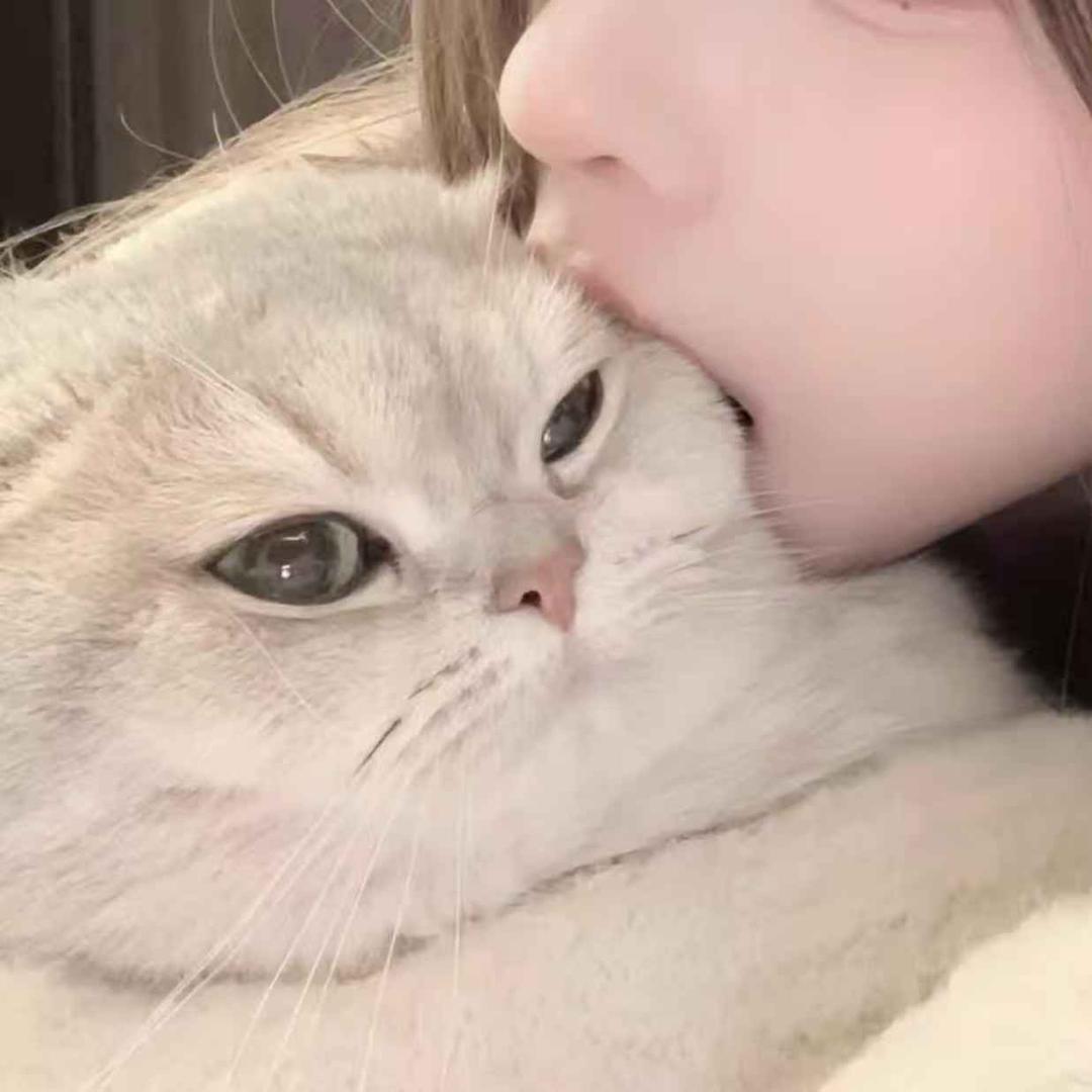 病树