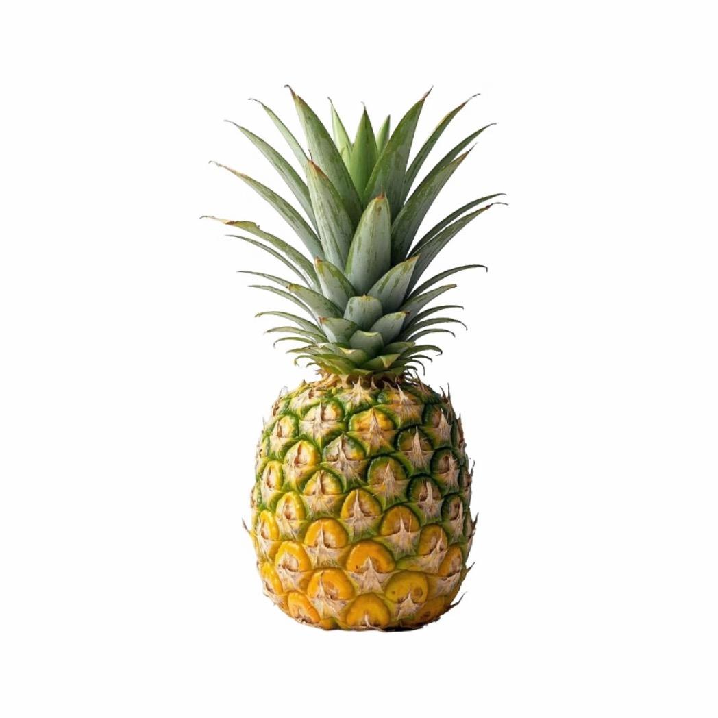 𝑲𝒆𝒂𝒕𝒔