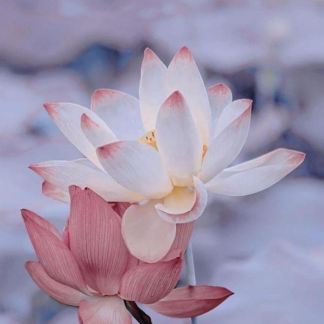 ，明天会更好，