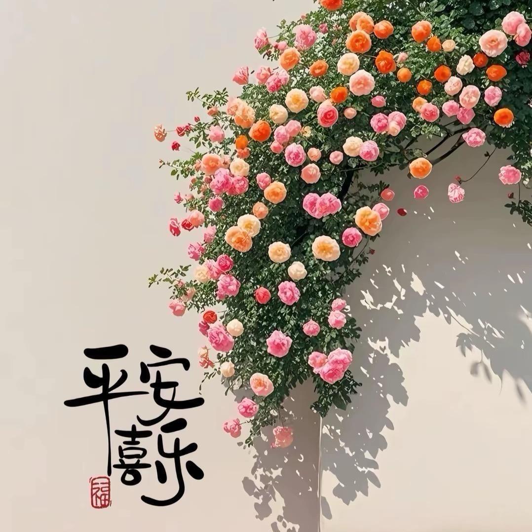 赠 意.