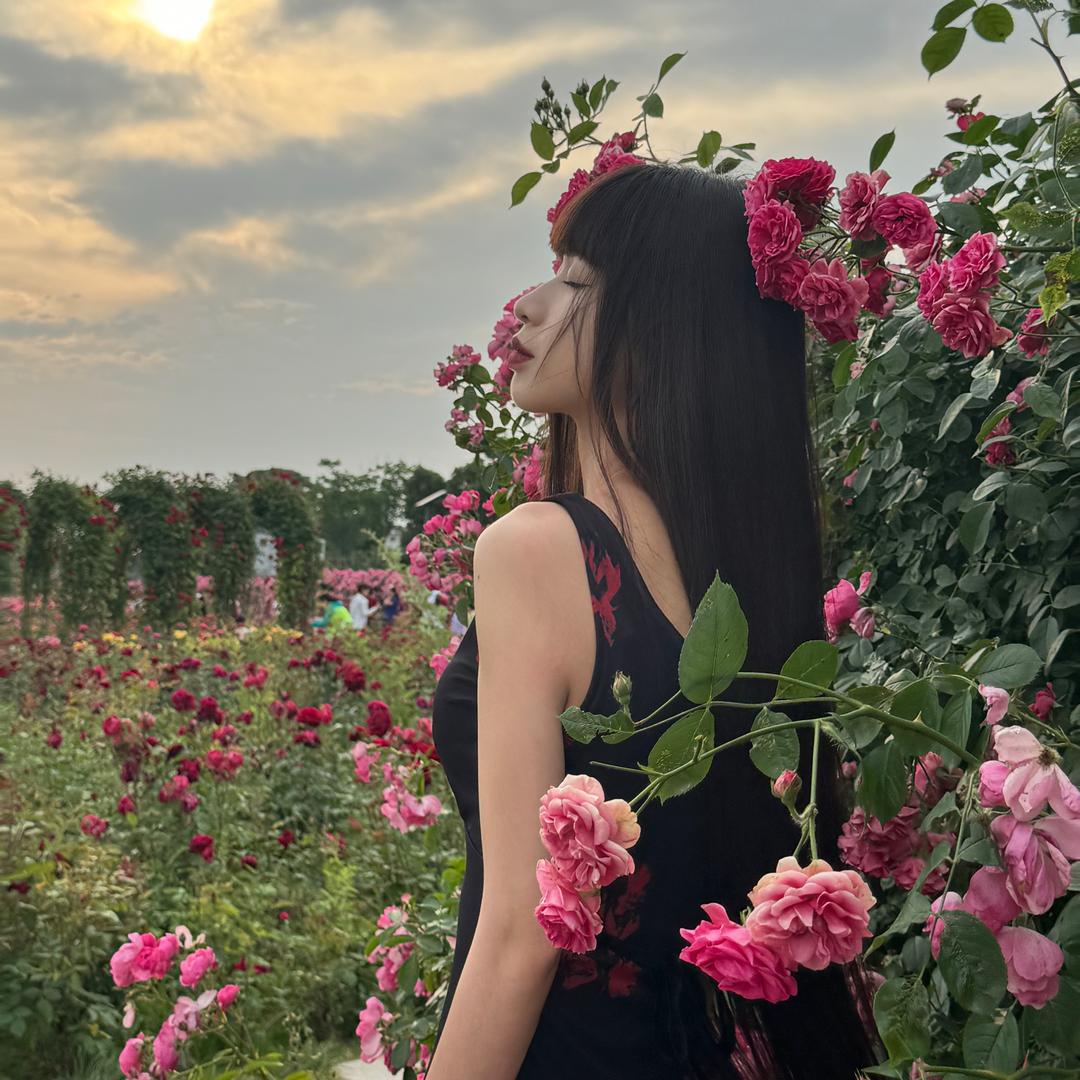 你的蕊.