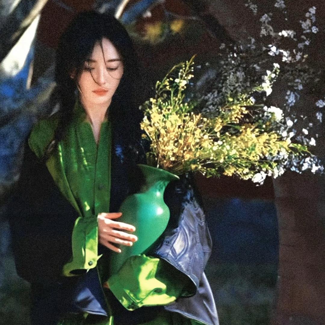 月亮不愿数绵羊