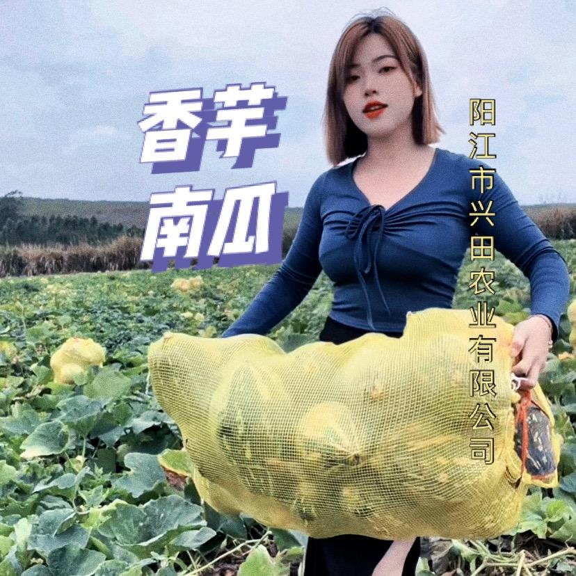 金瓜妹🌐种子全年出