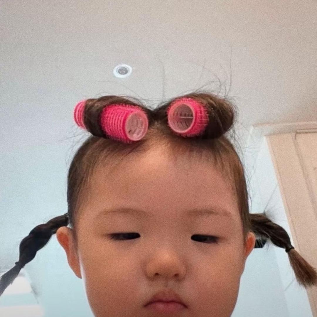 懒的鸟你