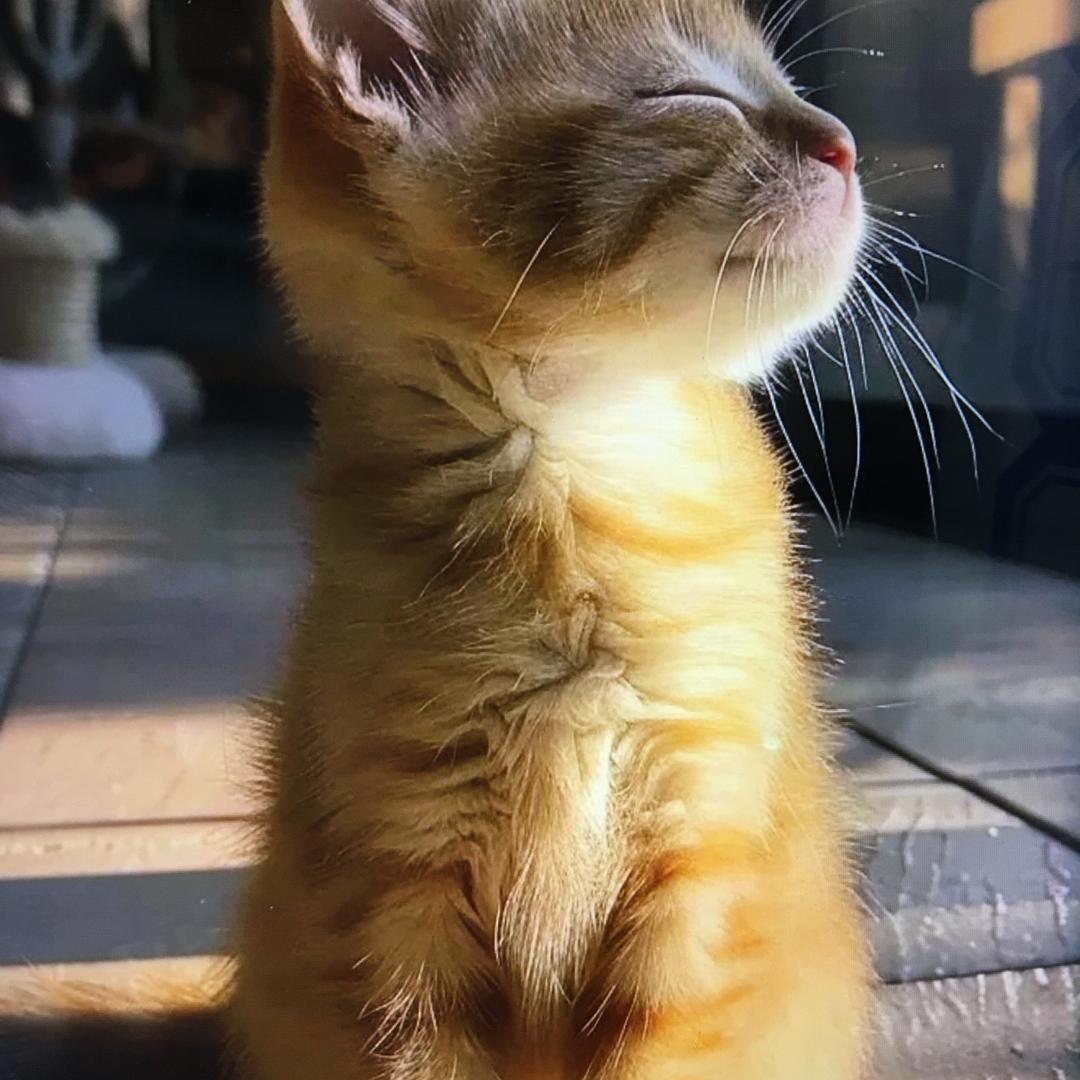 平安喜乐❤️