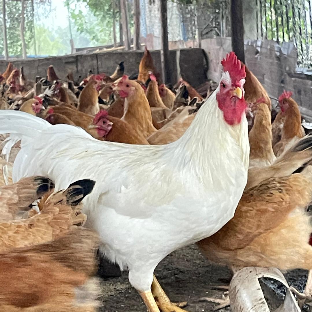 黄梅宏鑫（云团购）