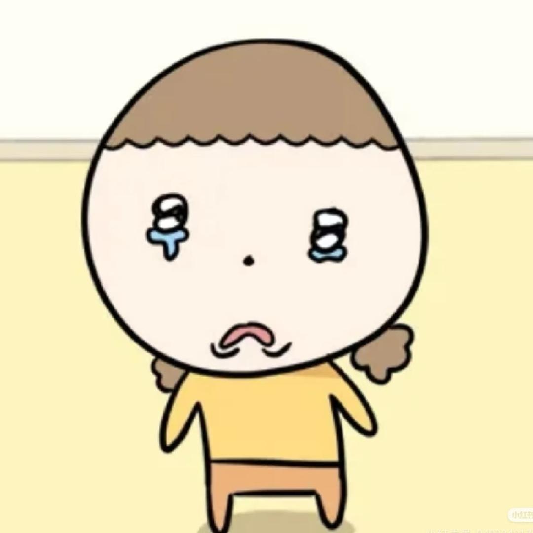 银色石子守护者
