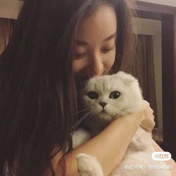 jjjh