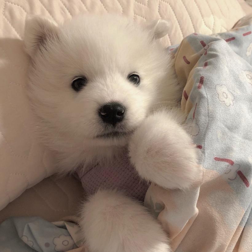 小徐超温柔🐾