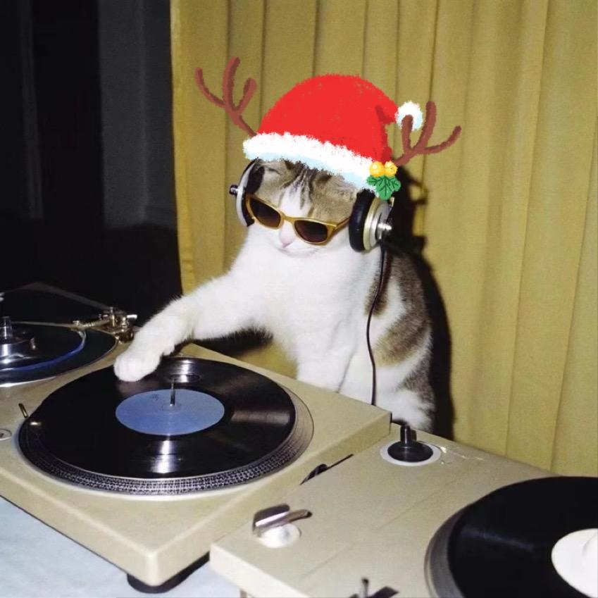 老师我想学打碟！！！