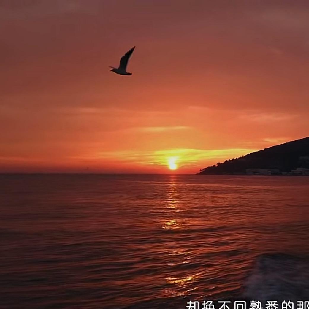 ޓ枫~