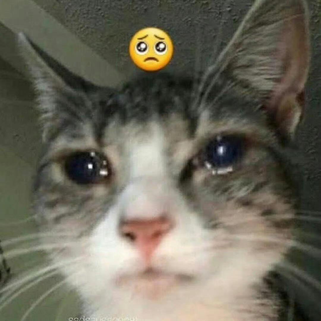 chi