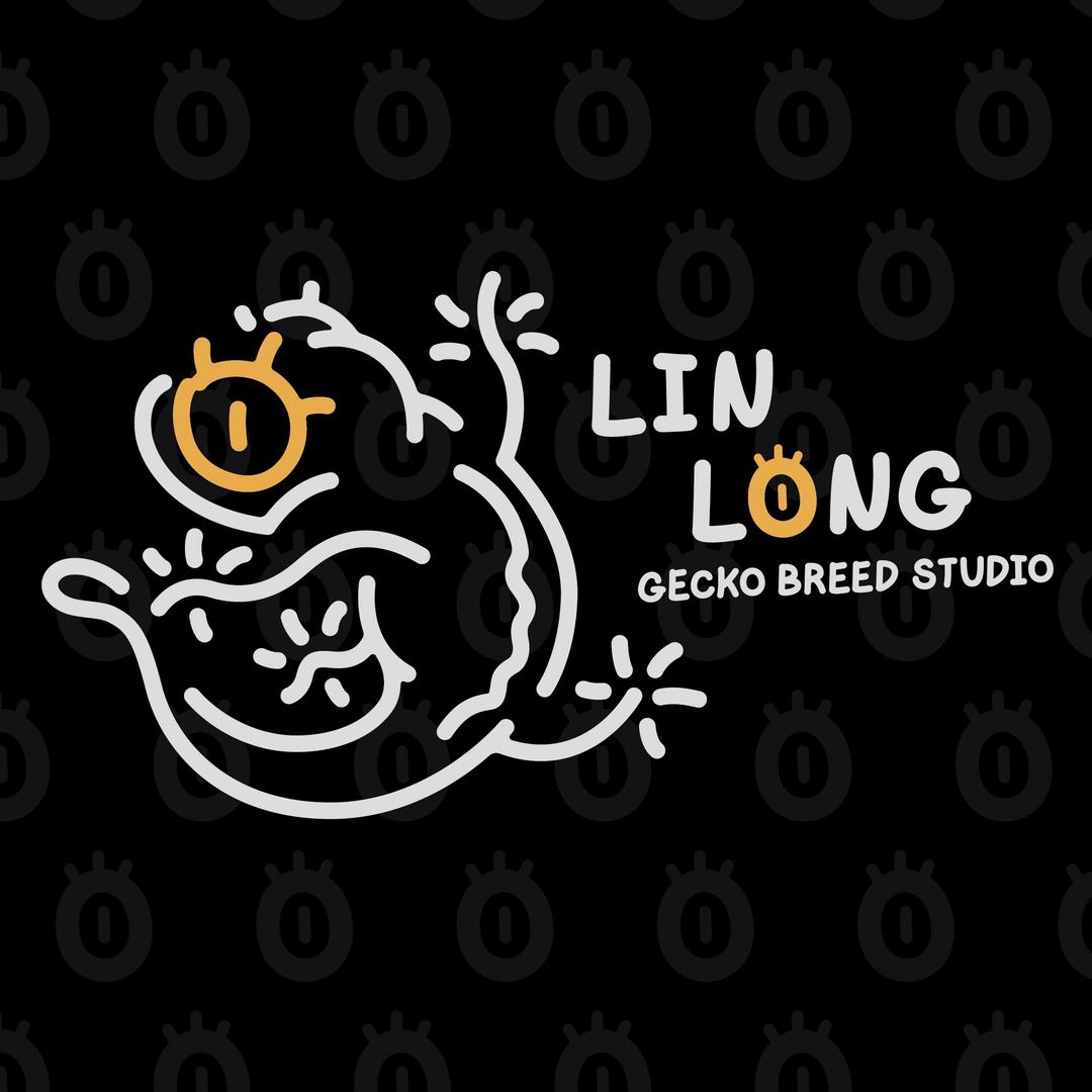 麟珑LL-GECKO（重生版）