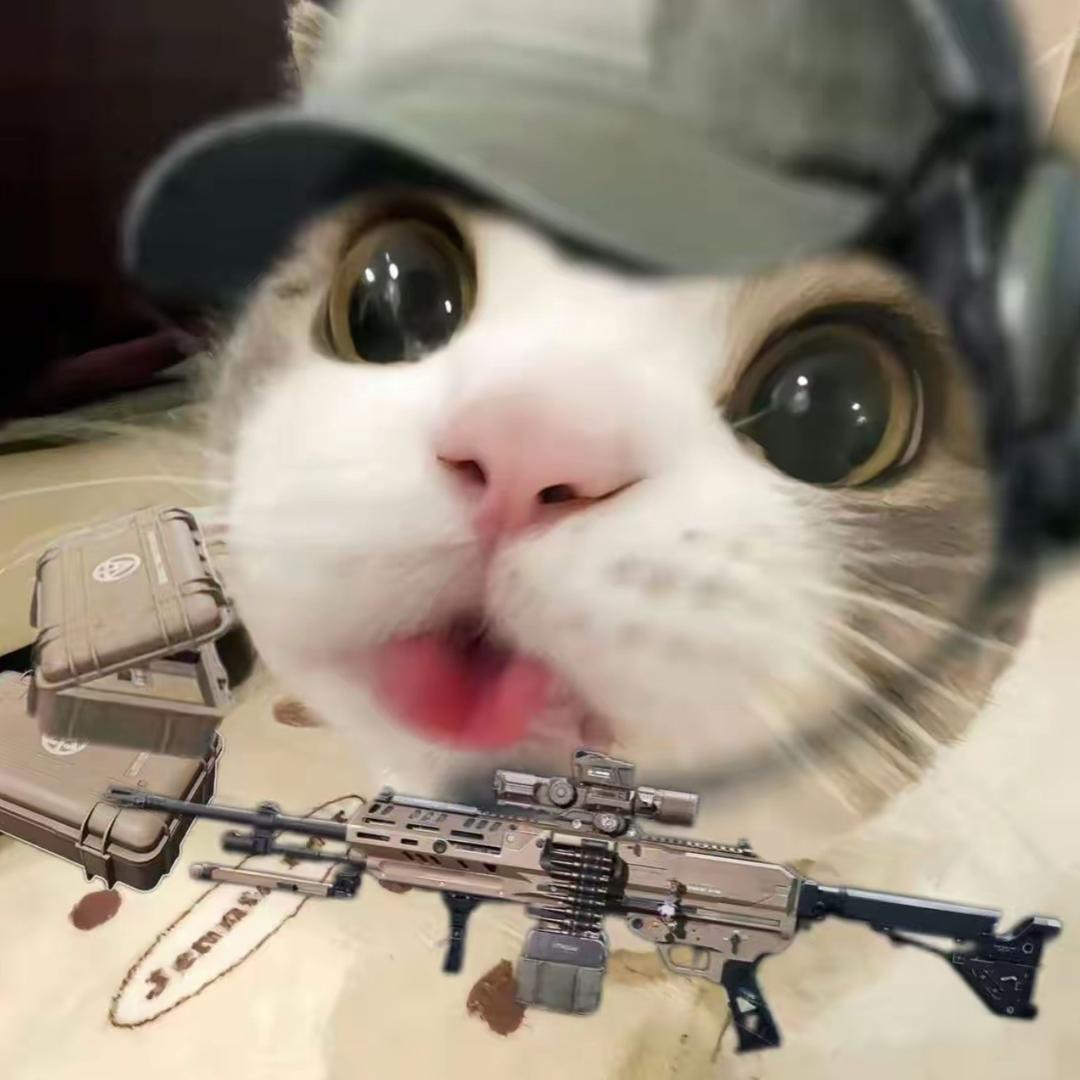 龙晓晓电竞考官牢K