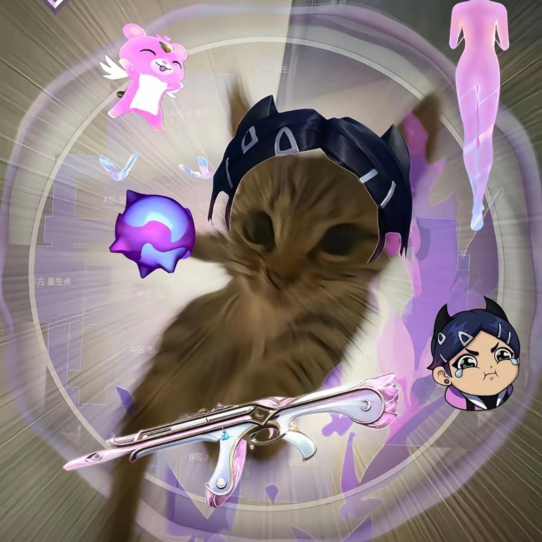 打瓦被骗五十元