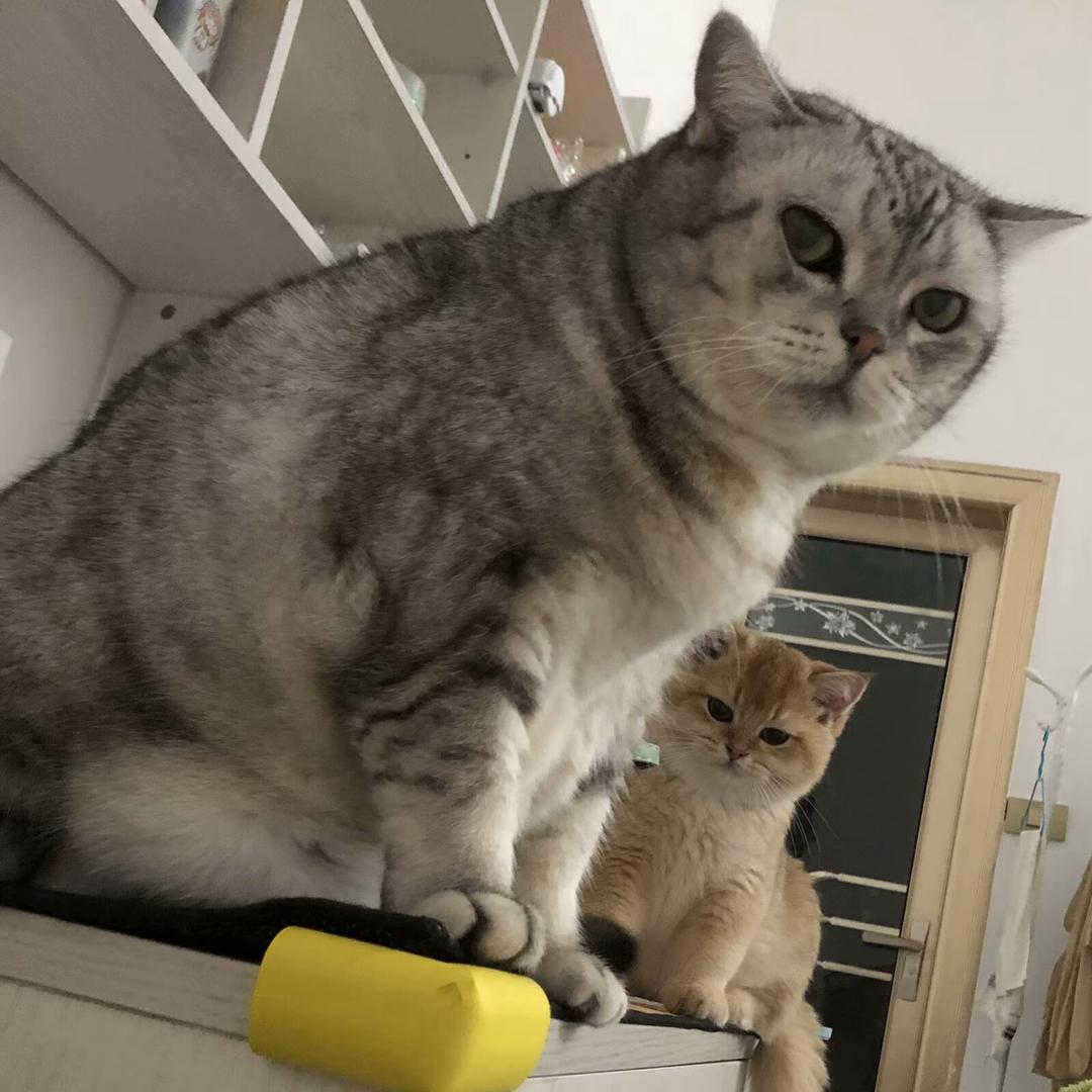瘾_
