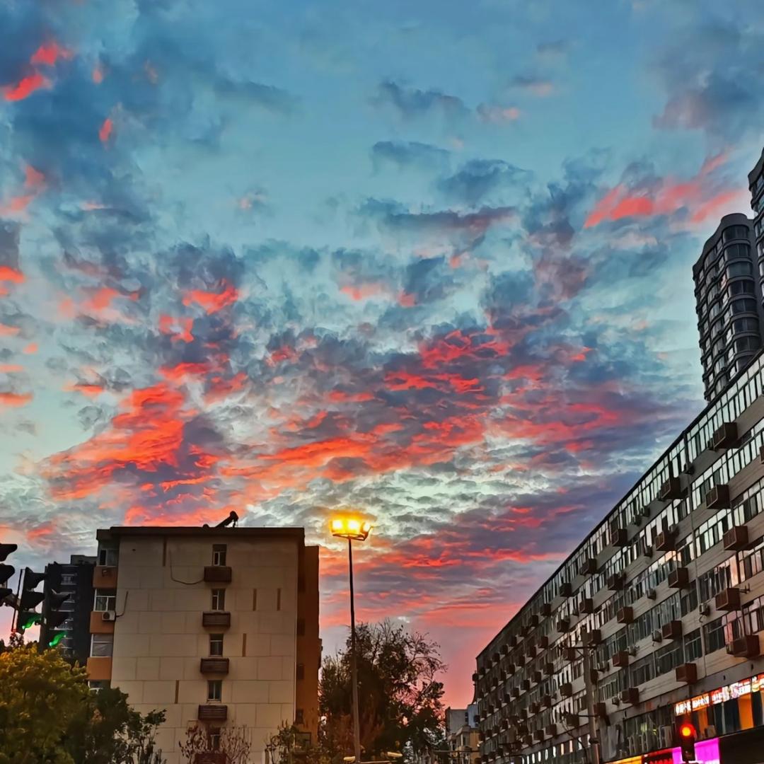 小鱼112
