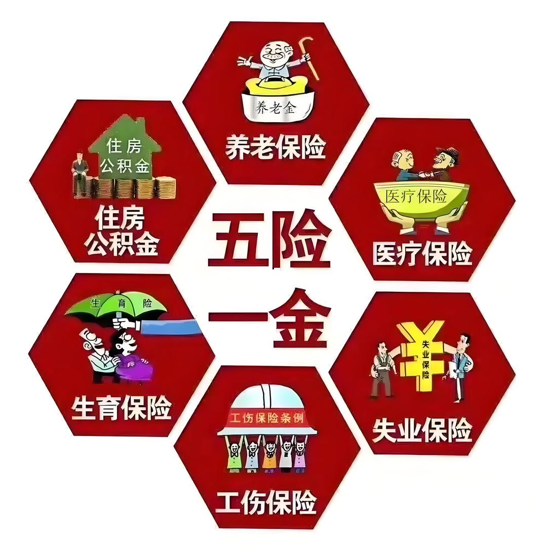 米多呀信息咨询