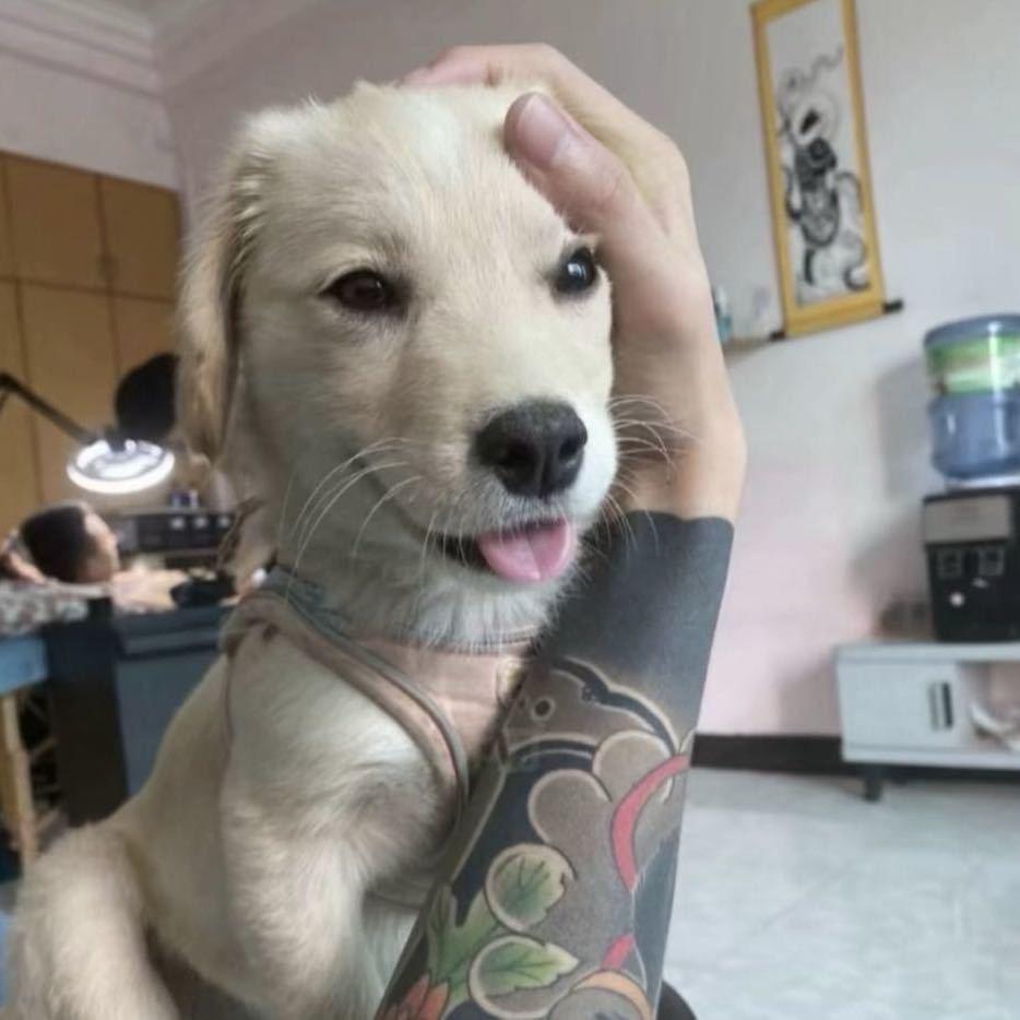 人丑嘴不甜长得危险还没钱