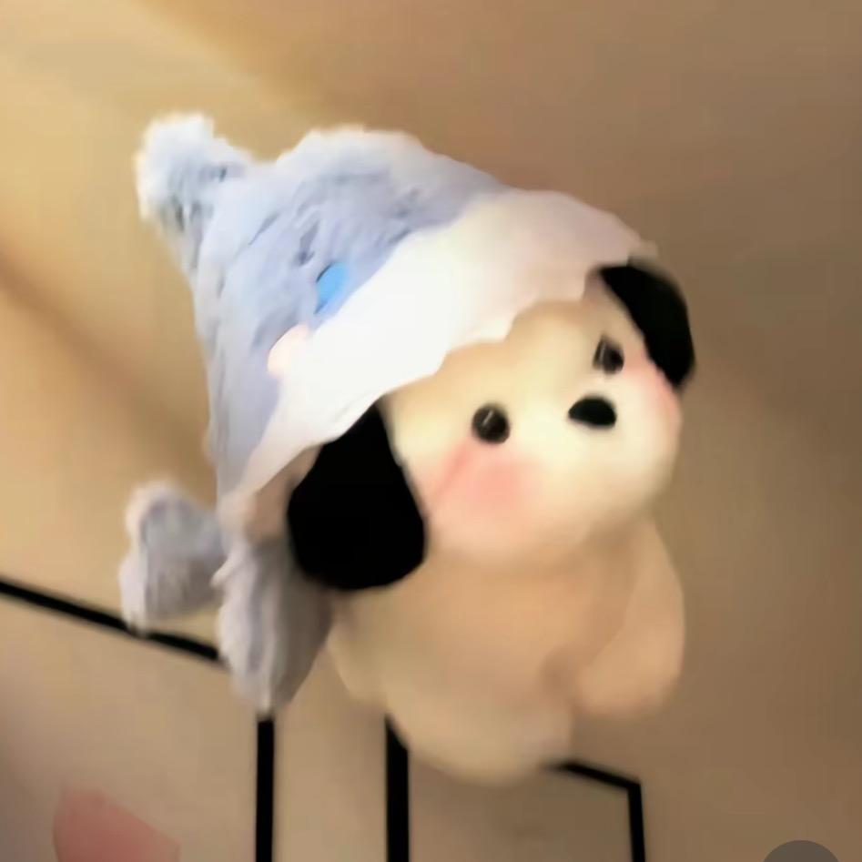 前进的向向
