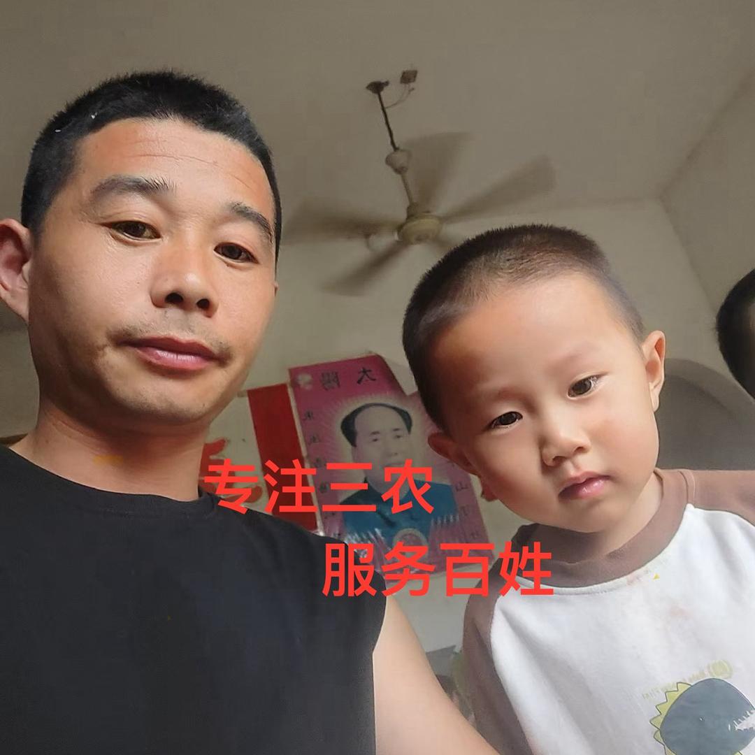 三农领路人（老莫）