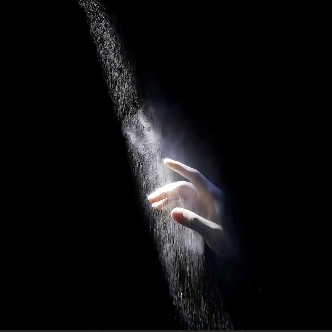 糖斋掌门TV频道