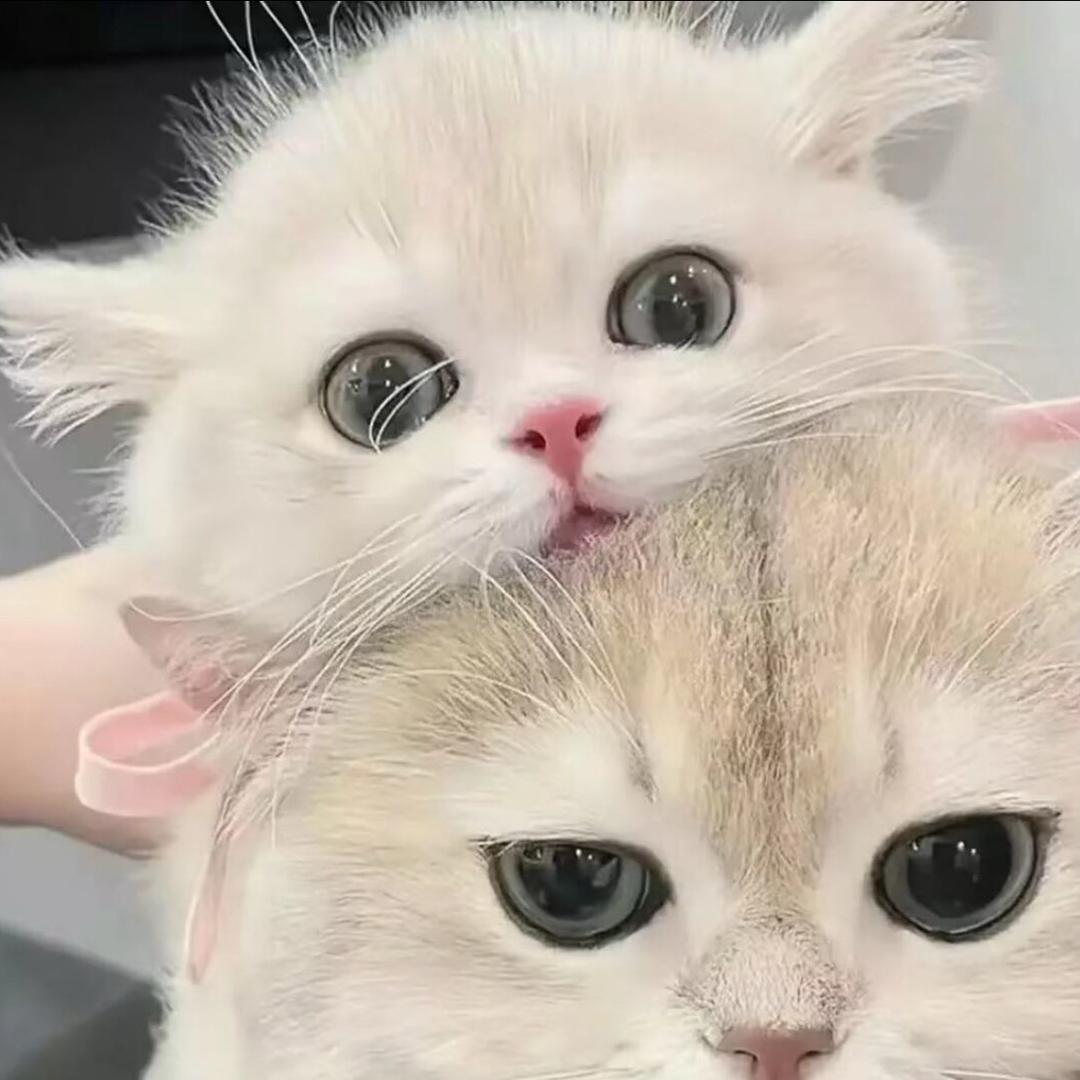 এ᭄ꦿ꯭蕗過এ᭄ꦿ