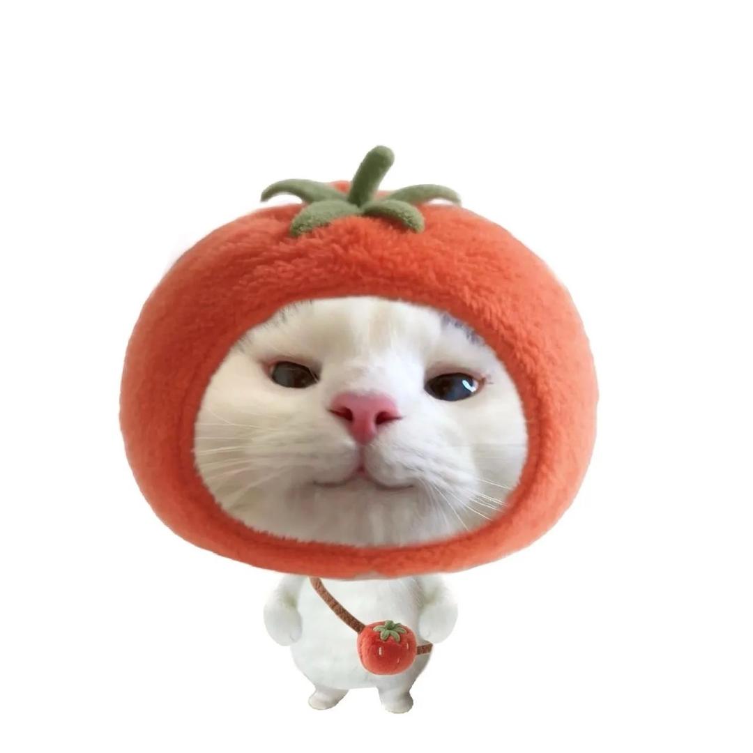 ʚ小年糕ɞ