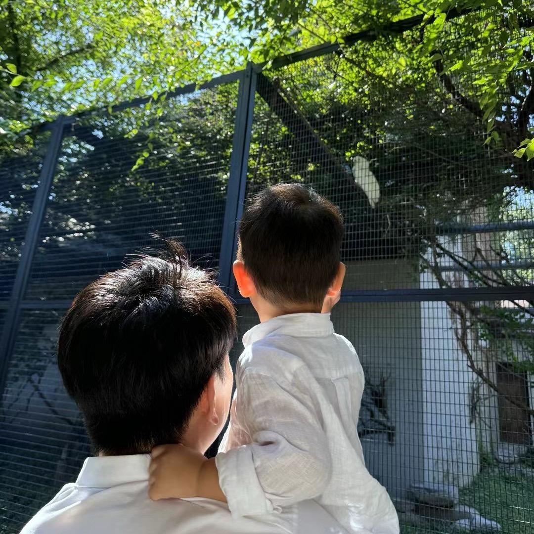 德斯不听话