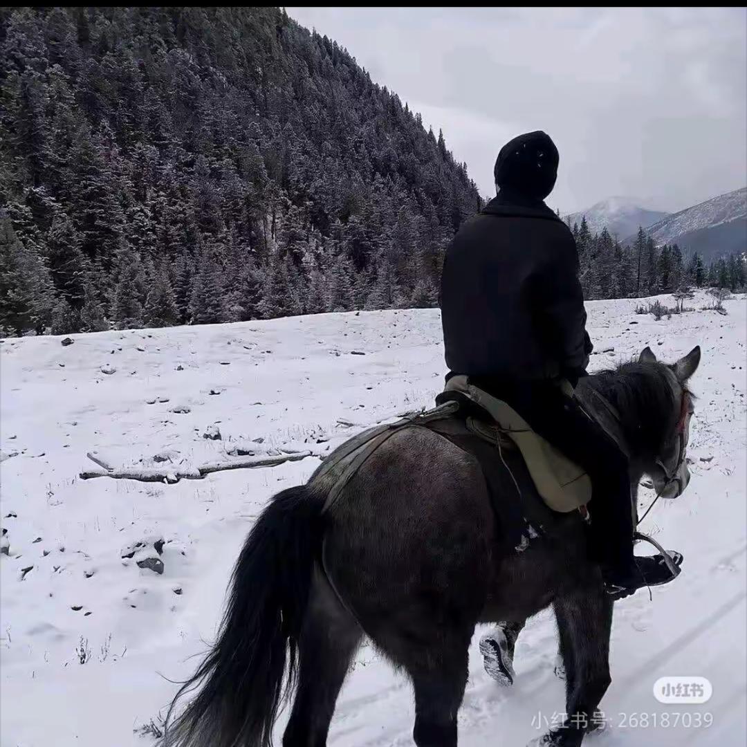 贾鸣（自律版）