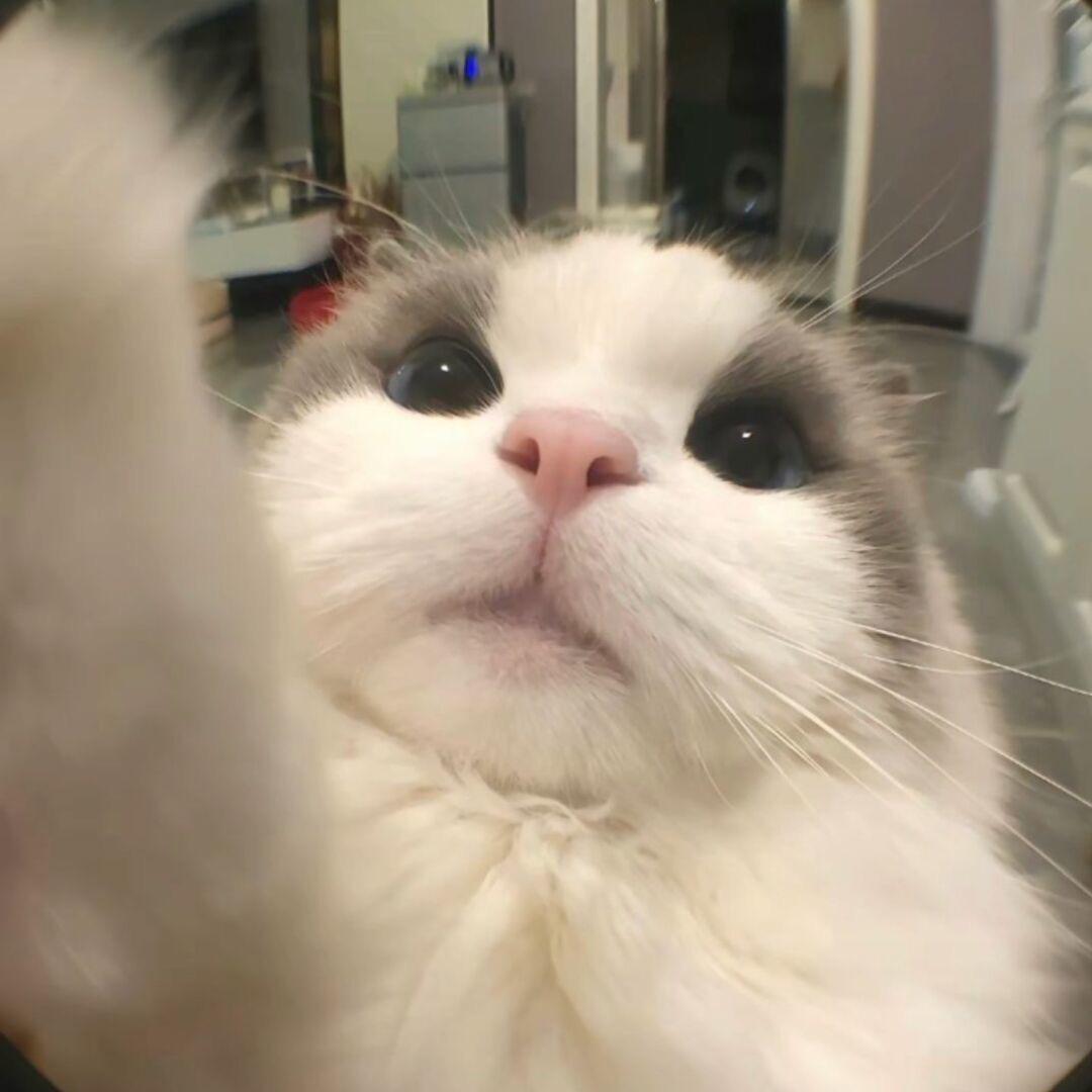 让我再多睡一会吧