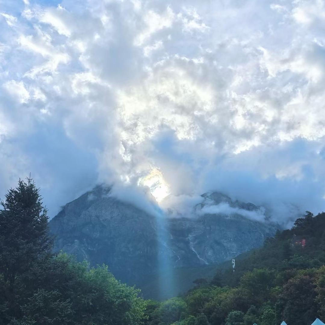 🐴马菇凉