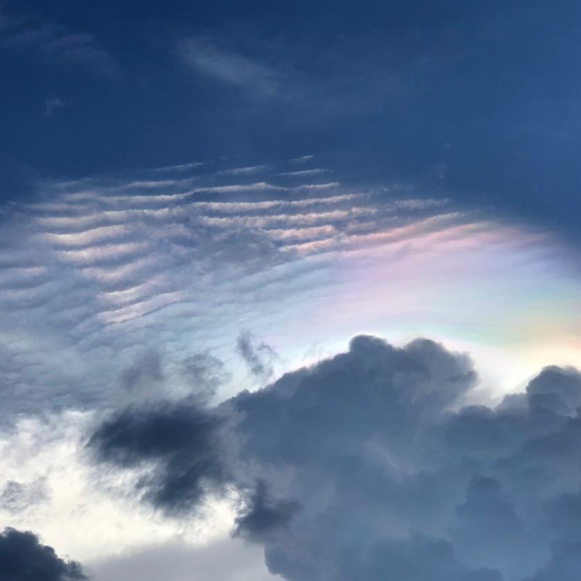 🌈加油鸭