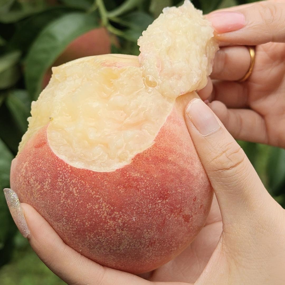 七里河区同城优选食品商行