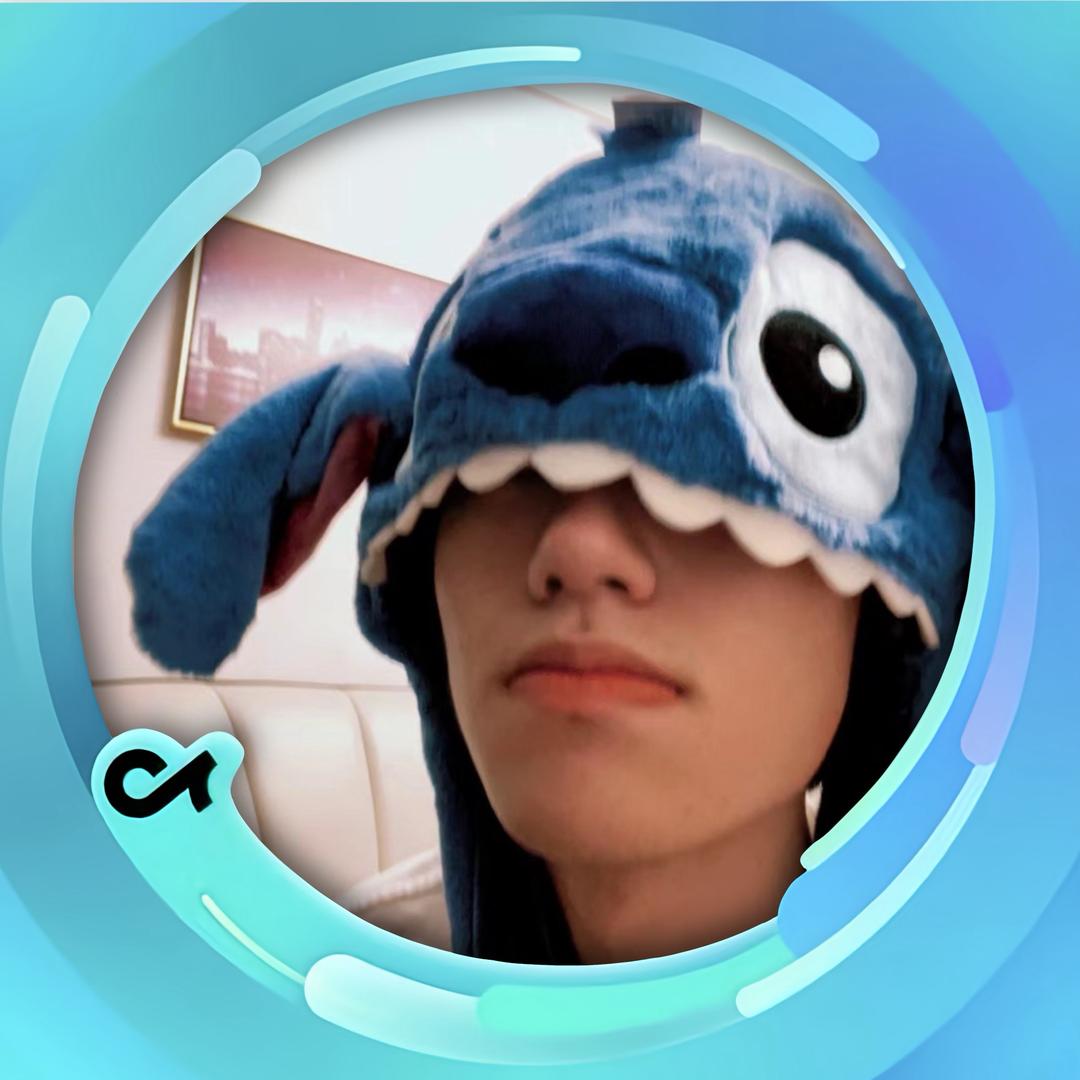 史迪仔走丢了💭