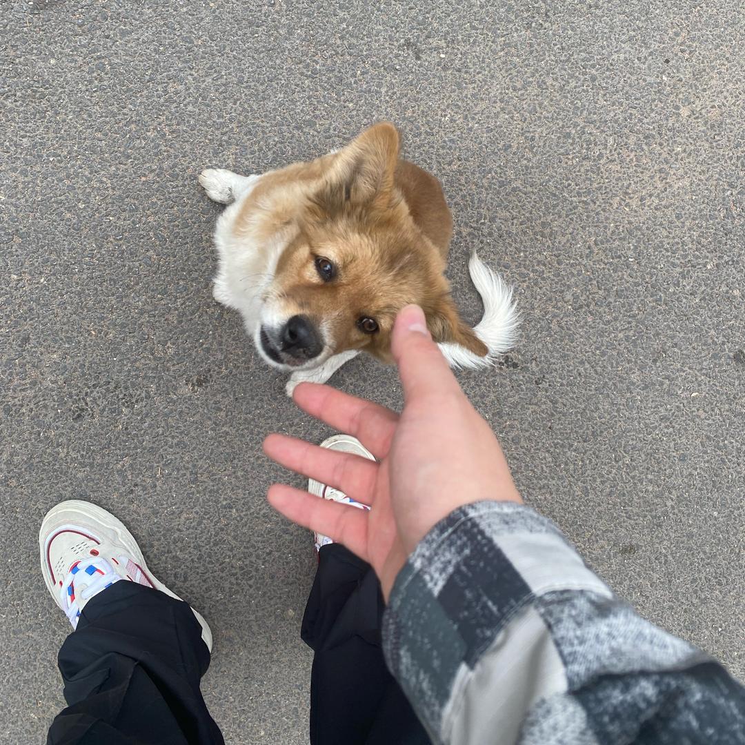 咸柠七💙