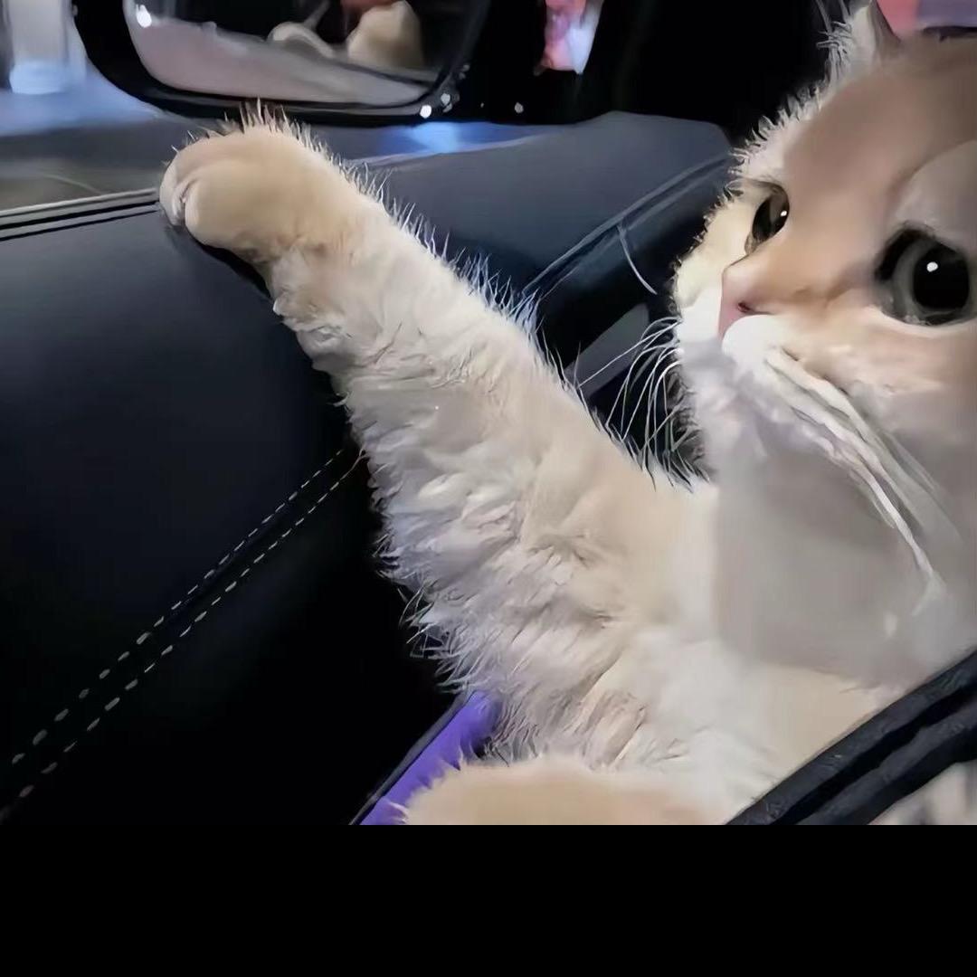 丶