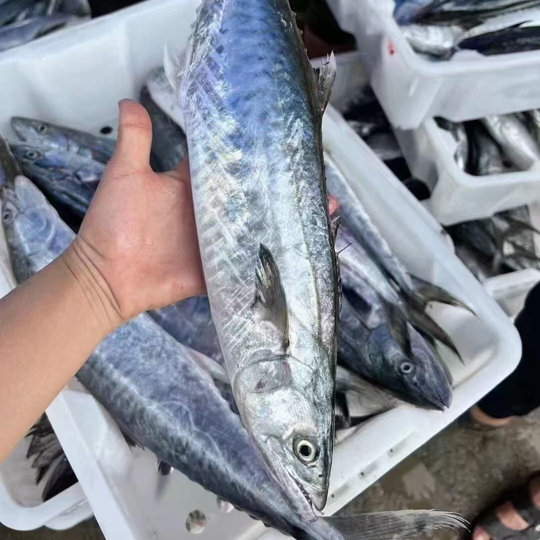 佩奇海鲜（博贺港）