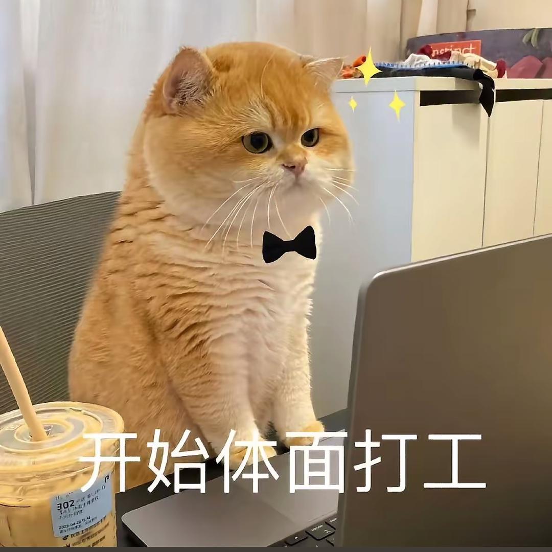 一万吨的猫