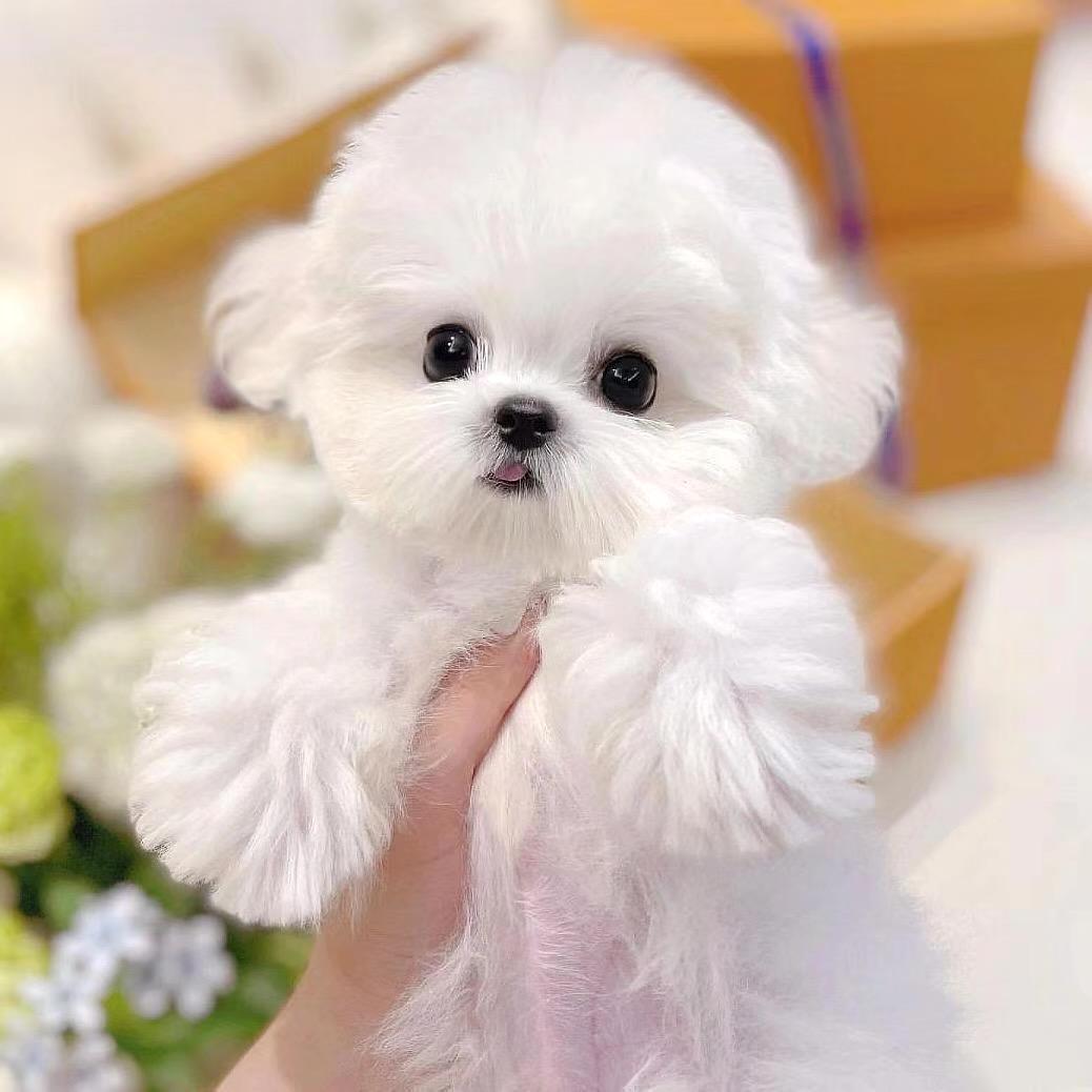 和亟待解决的变化