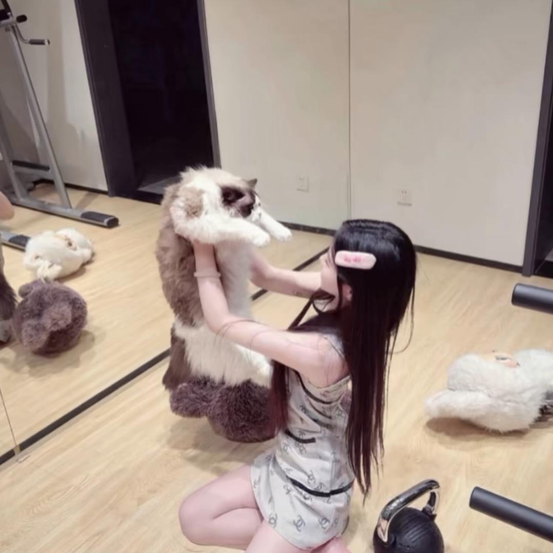 ・ 萌妹纸の