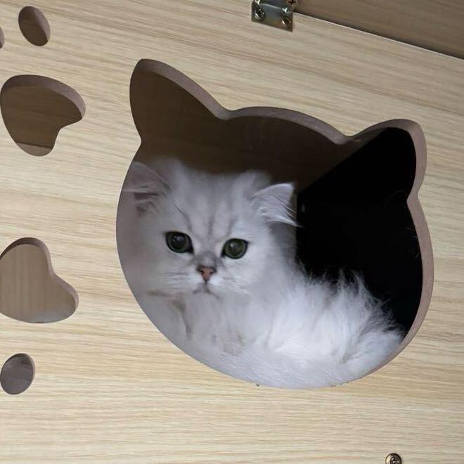 咖咪龙女鞋旗舰店