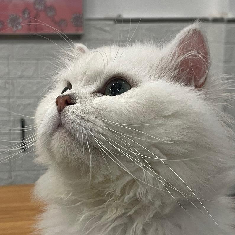 两小时