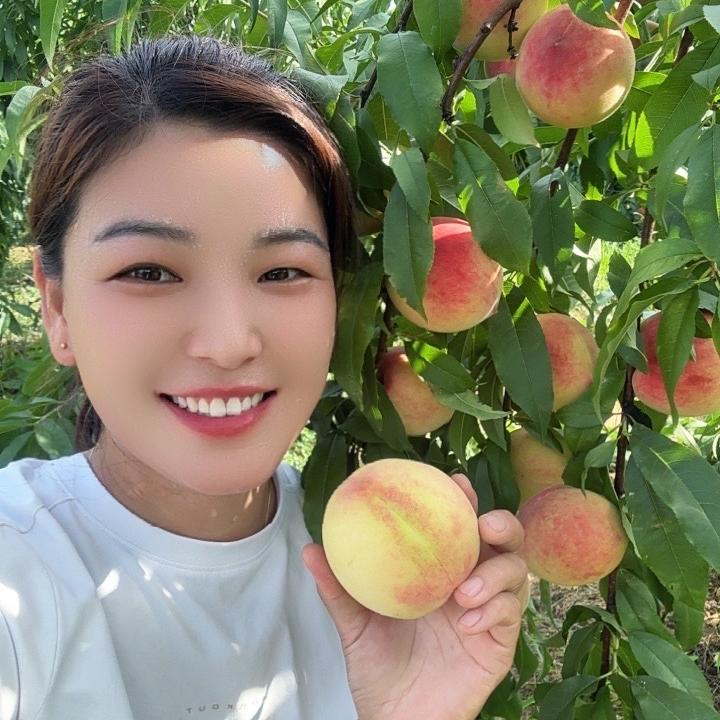 美豫农产品销售（泌阳花菇）