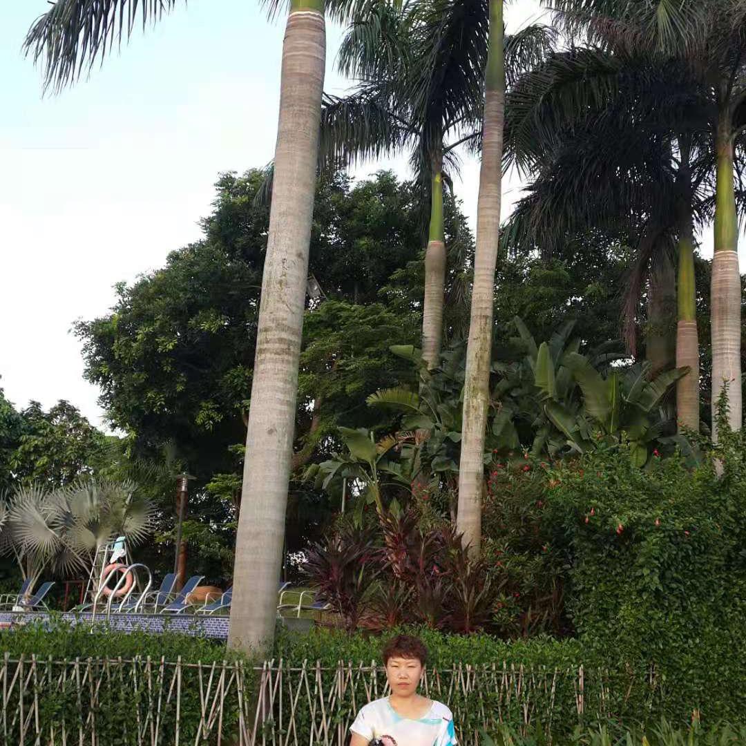 祥和（浙江金华）