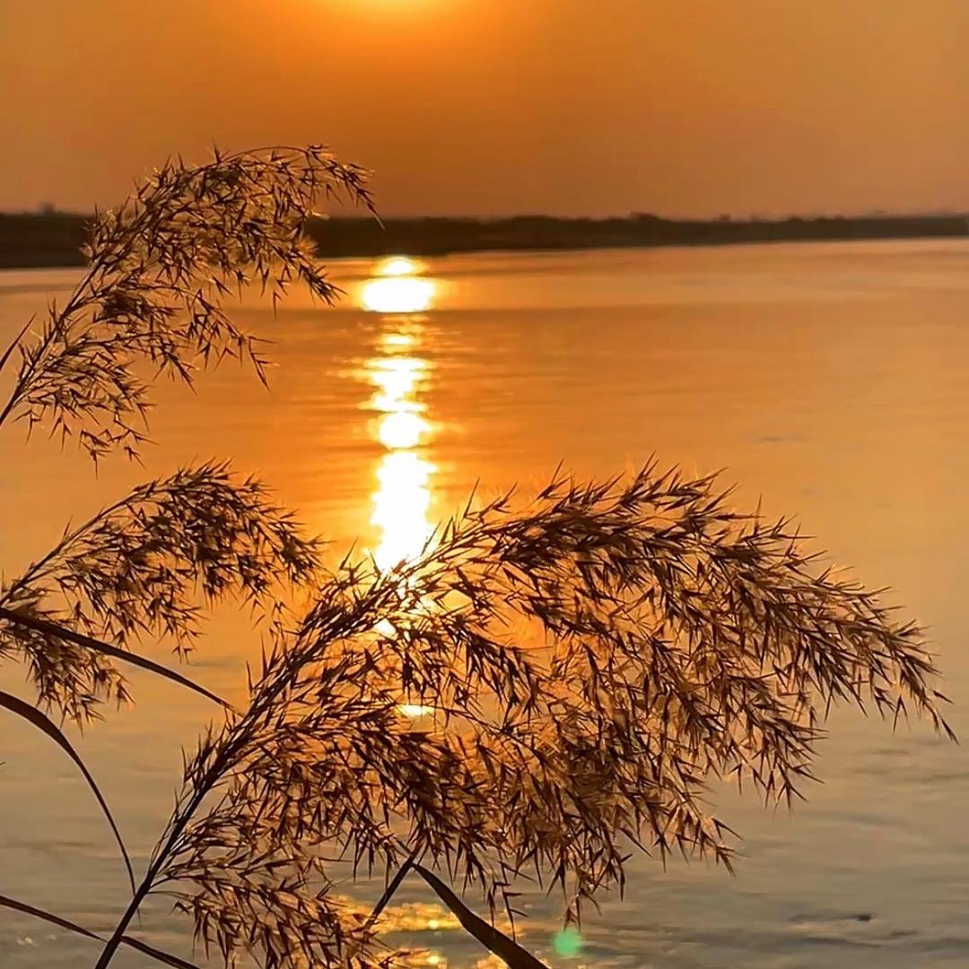 浪迹天涯