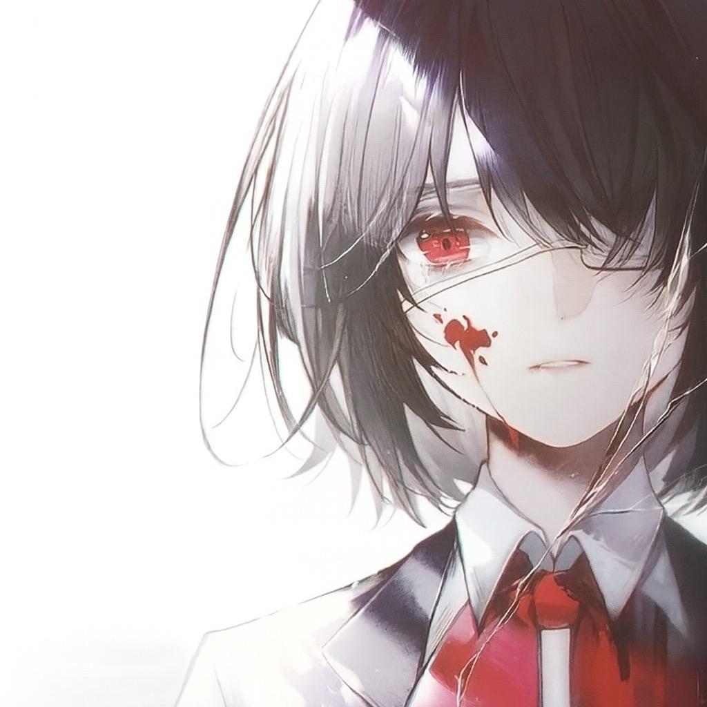 熊宝